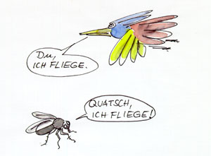 Fliege1